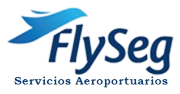 FlySeg Serviços Aeroportuários